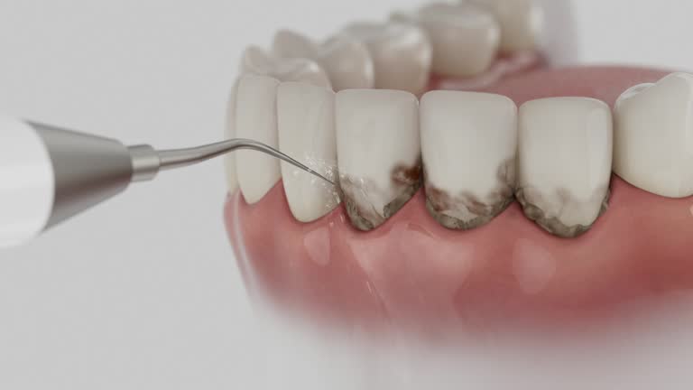 Reliable Dental contractor in Mullins, SC by Dentist Open Now